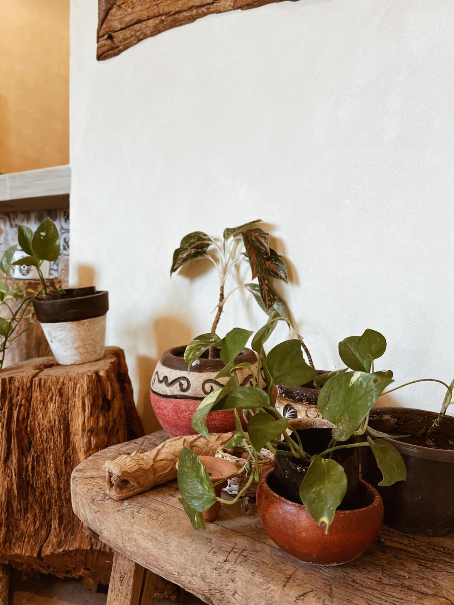 Sisal Loft Living Apartment Valladolid  Luaran gambar